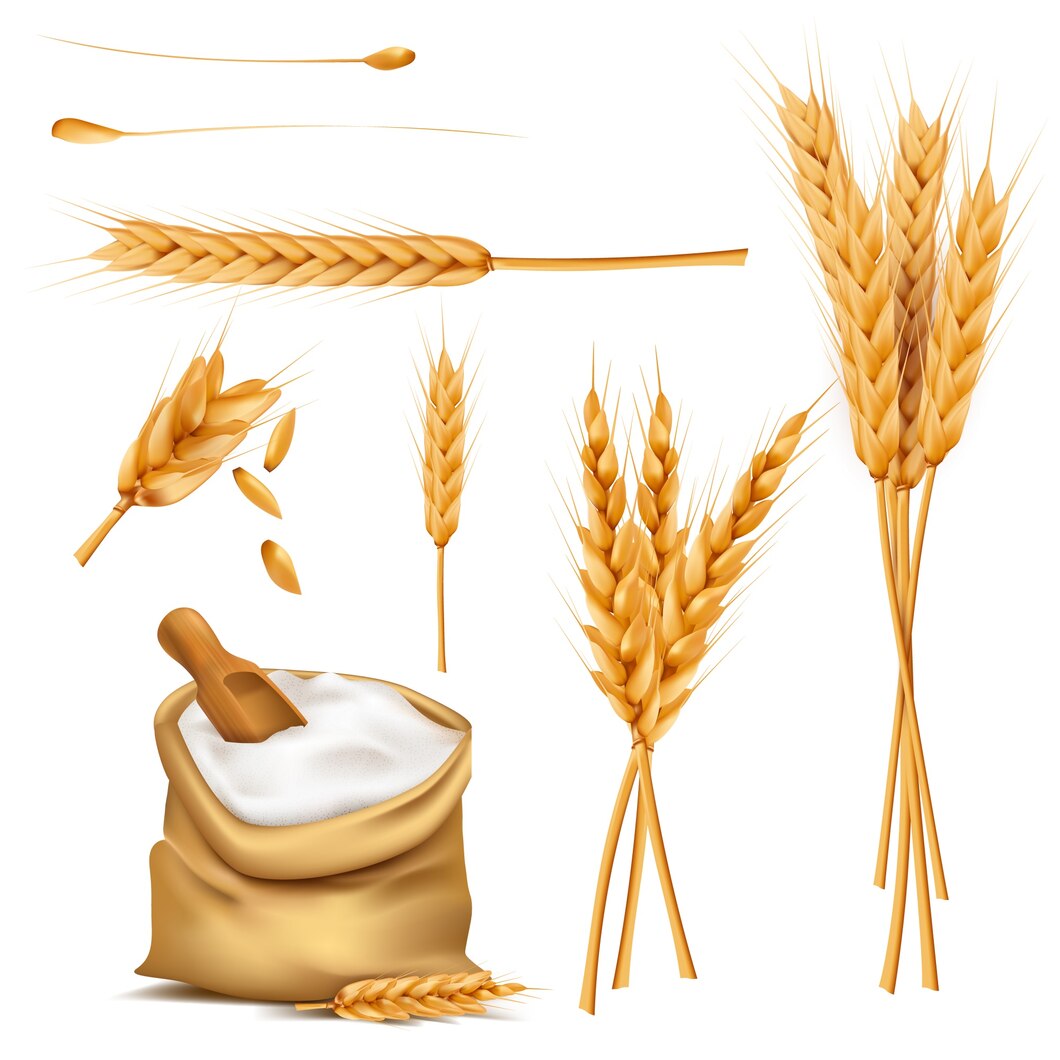 Aldeprem – Your trusted source in grain trading