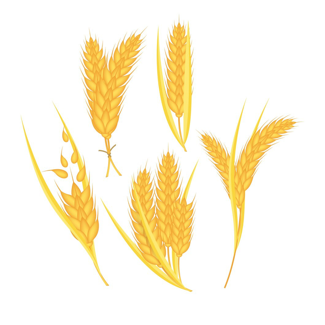 Effective management of grain purchase and sales